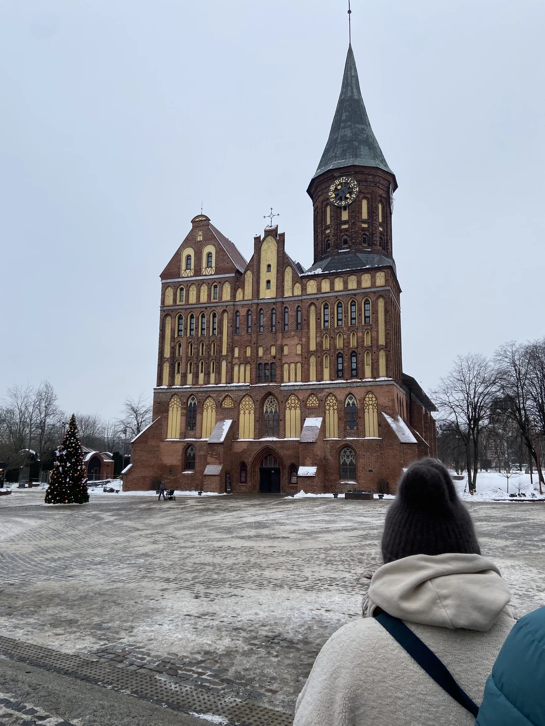 Полюбить Калининград за 3 часа (Марианна)