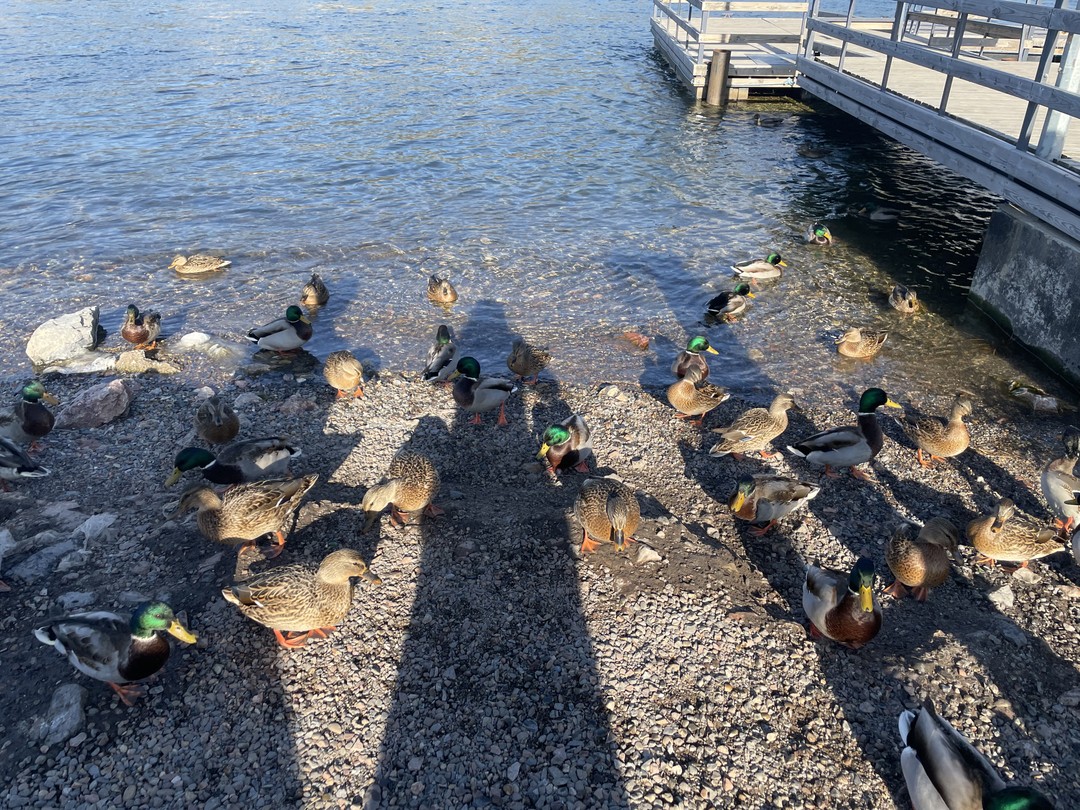 Красноярская ГЭС, Столбы и панорама города (Марина)