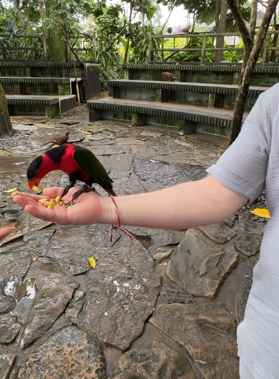 Проводил нам эту потрясающую экскурсию Гриша - мы остались в полном восторге! Гриша учел все наши