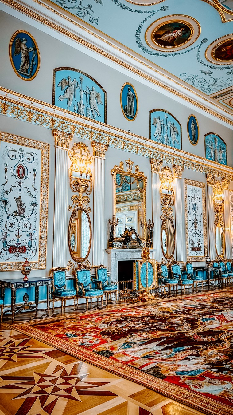 Екатерининский дворец в Пушкине (из Петербурга) (6/16)