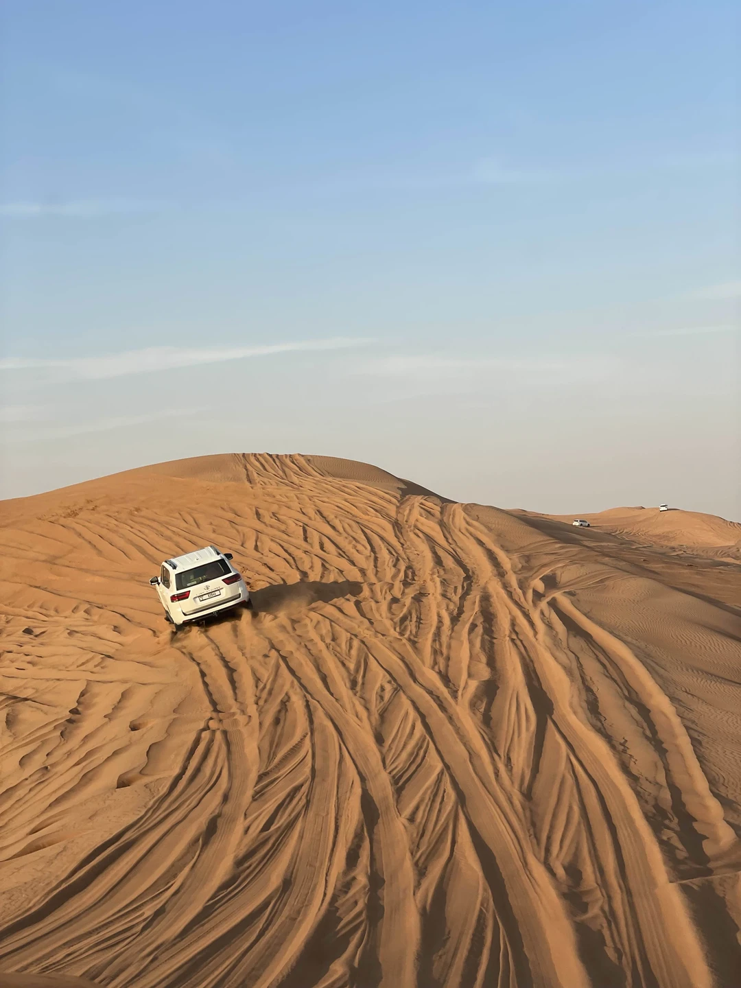 Водитель приехал вовремя, покатались по красивой пустыне на закате, затем, поехали в деревню, посмотрели шоу, бесплатно