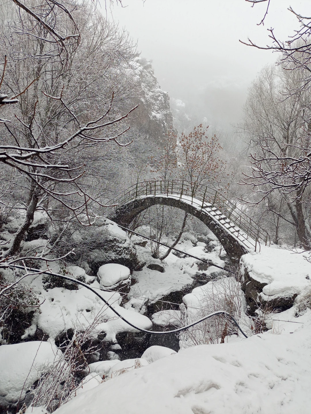 Очень понравилось