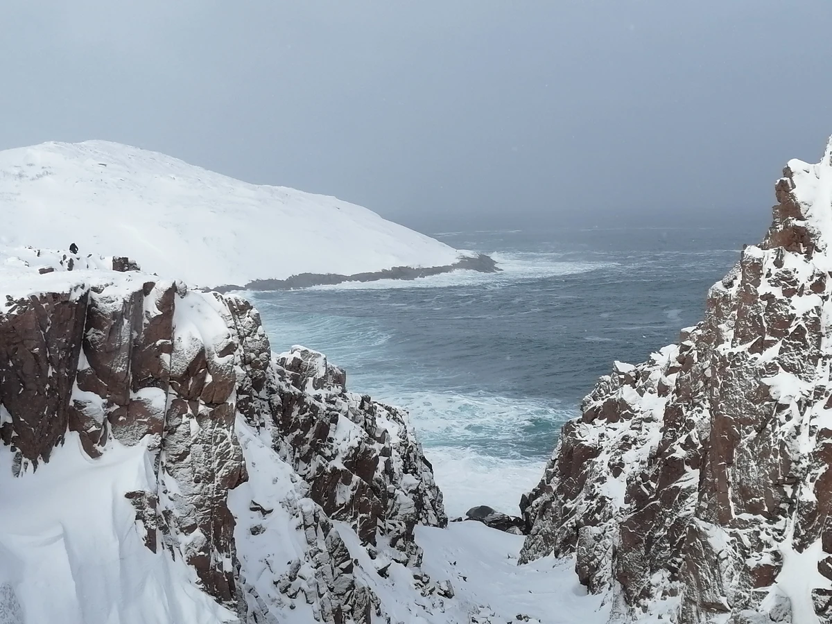 От океана до белоснежных гор: тур-перезагрузка в Мурманск, Териберку и на «Большой Вудъявр»