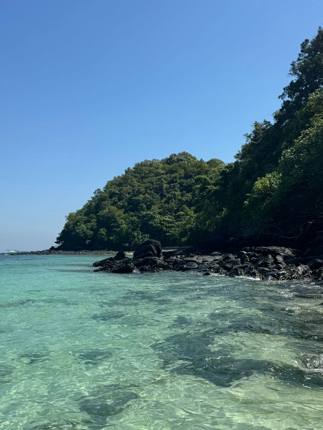 Недавно побывала на утренней прогулке на катамаране к острову Коралл, и это было просто невероятно! С