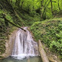 Фото отзыва 1: экскурсия "Один добрый день в Сочи: дружеский отдых по вашим правилам"