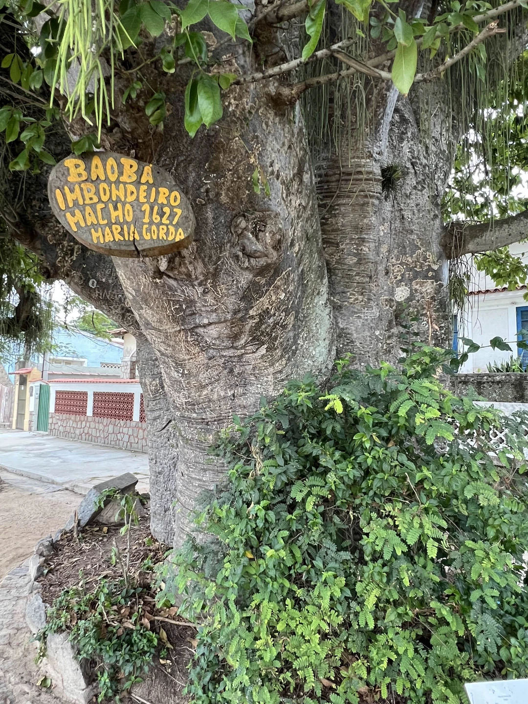 Остров прекрасен. Экскурсия требует наполнения активностями. Просто прогулки маловато. По нашей инициативе напросились в гости к