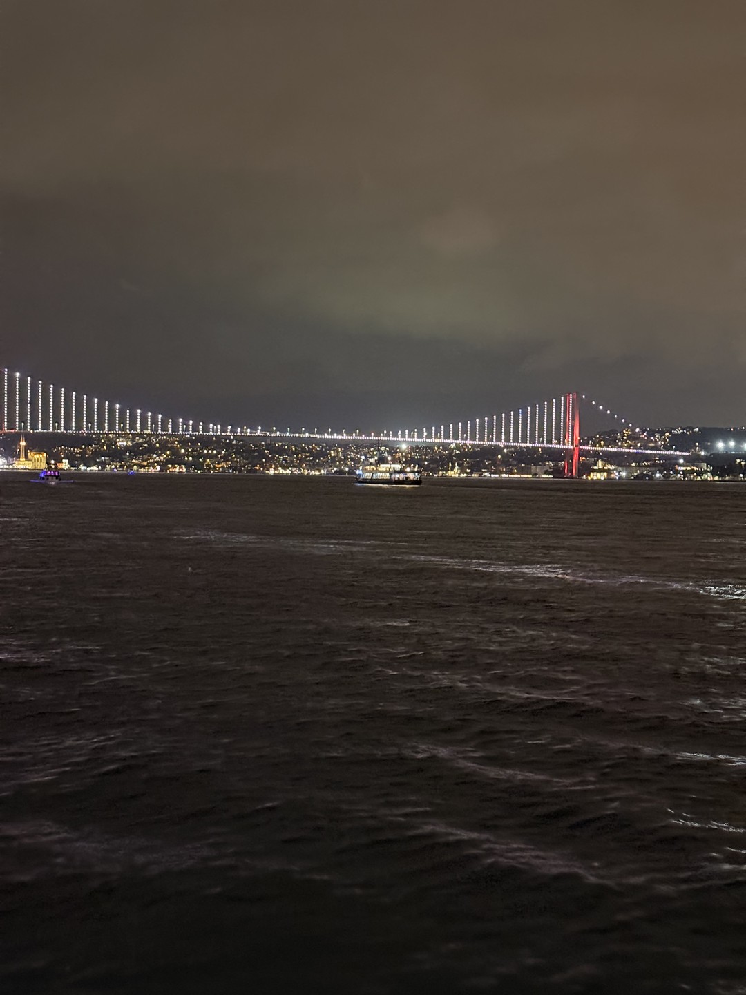 Отличная программа, очень здорово отдохнули, посмотрели на ночной Стамбул с Босфора, послушали песни в живом исполнении