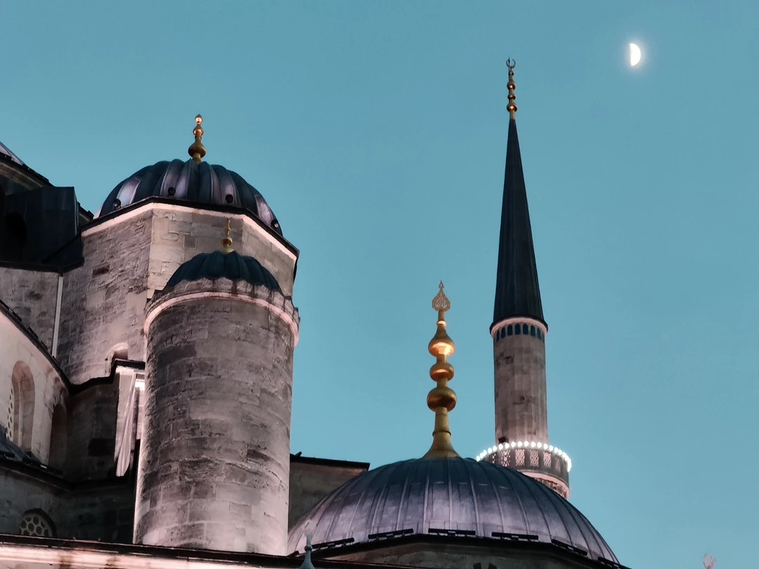 Все совпало в этот день, и теплая, не свойственная концу ноября погода и волнительное ожидание встречи