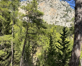 Прибытие в Гейнюк и отдых у моря