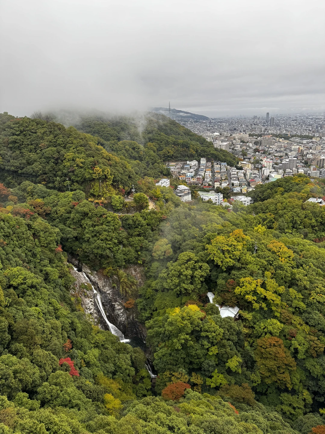 Невероятно интересная экскурсия, незабываемый день😊☺️👍🏻 Объявляем огромную благодарность гиду за интересные, познавательные рассказы о Японии, узнали