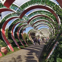 Фото отзыва 2: экскурсия "Впечатляющая Чечня: горы, озёра, современные мечети и средневековые башни"