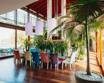 Долина Элджин: винодельни и невероятные виды