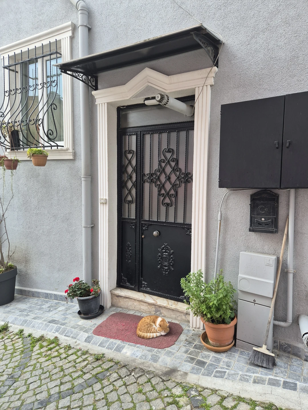 Экскурсия с очаровательным гидом Ясмин была великолепна! Стамбул открылся совсем с другой стороны: уютный, атмосферный, вкусный