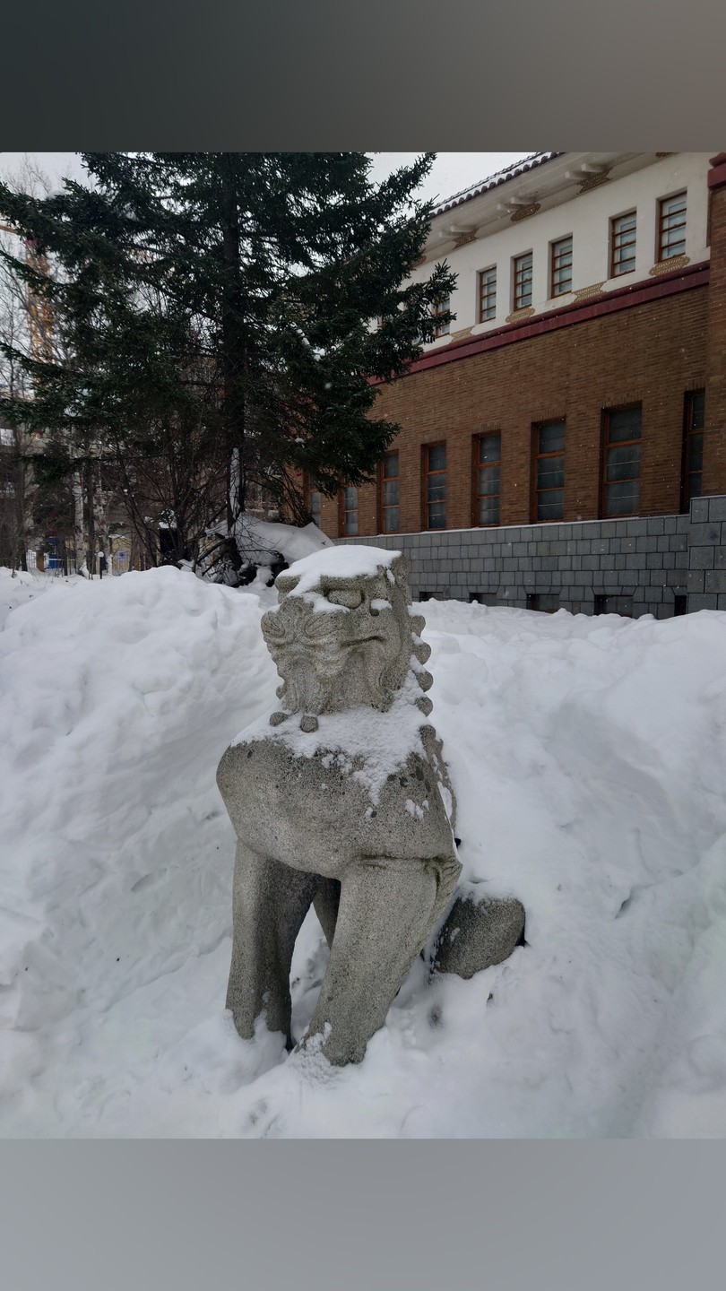 Фото отзыва 2: экскурсия "Лучший день в Южно-Сахалинске"