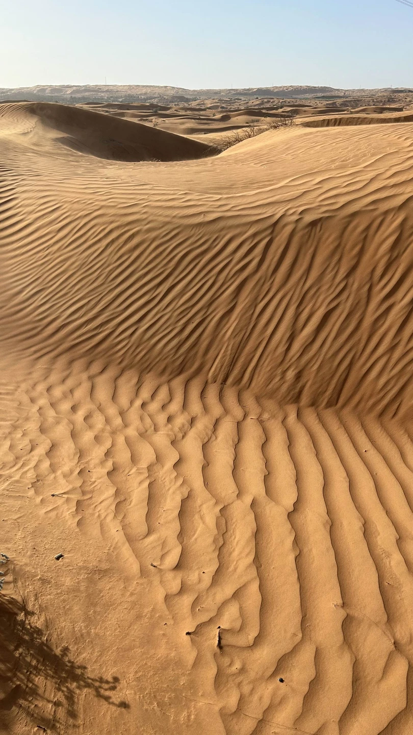 Это была шикарная экскурсия. Огромное спасибо Андрею - нашему гиду. Очень интересный рассказ с заездами на