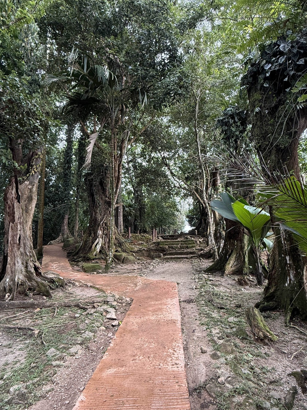 С большим удовольствием пишу этот отзыв