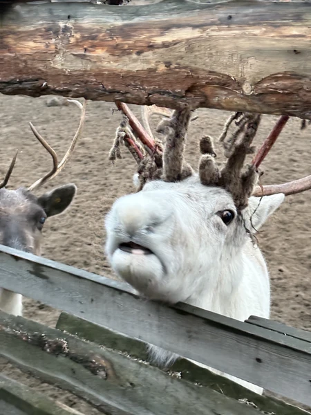 Териберка: дыхание Ледовитого океана (Сергей)