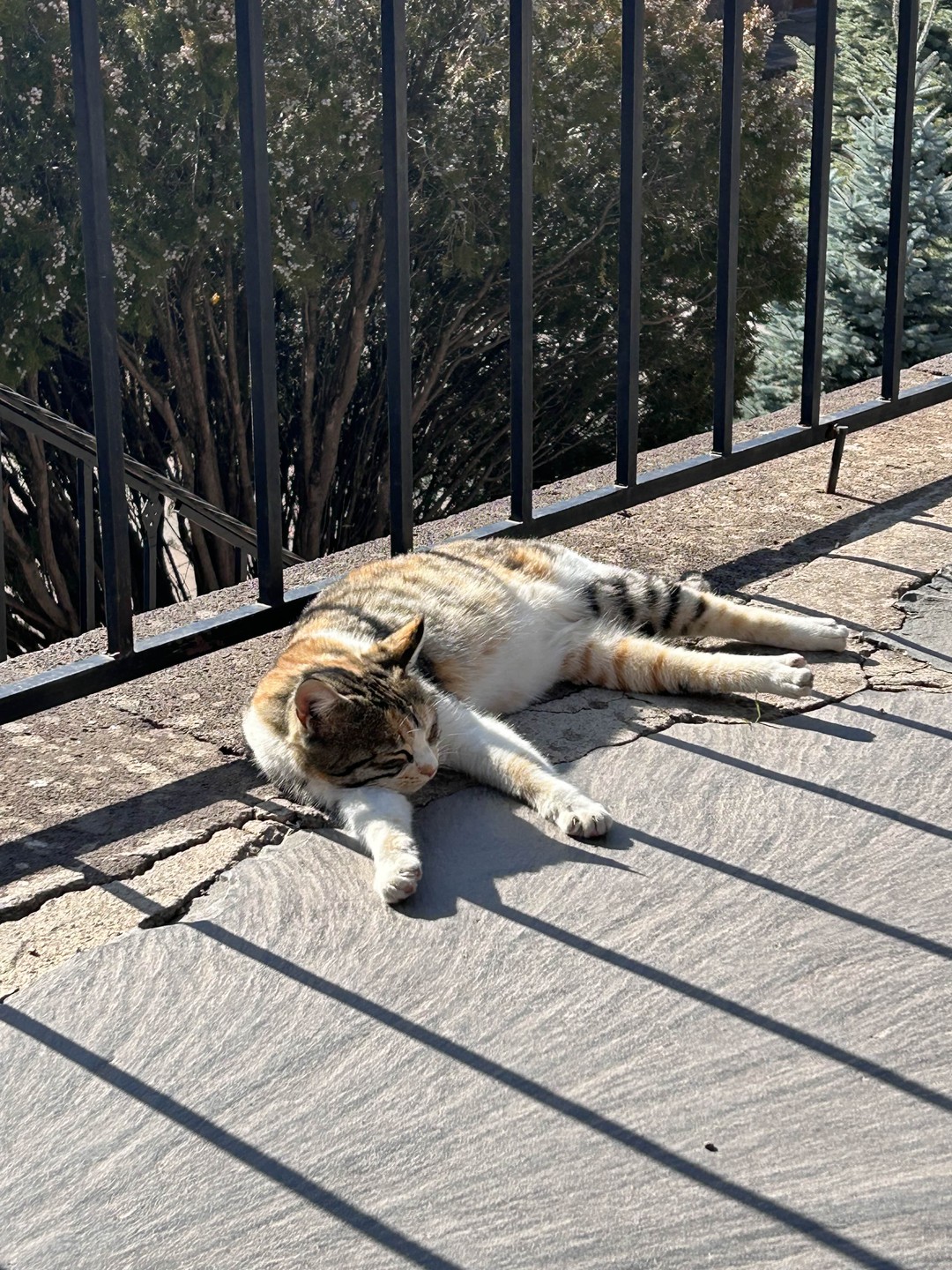 Замечательная экскурсия, было очень хорошо и красиво ❤️