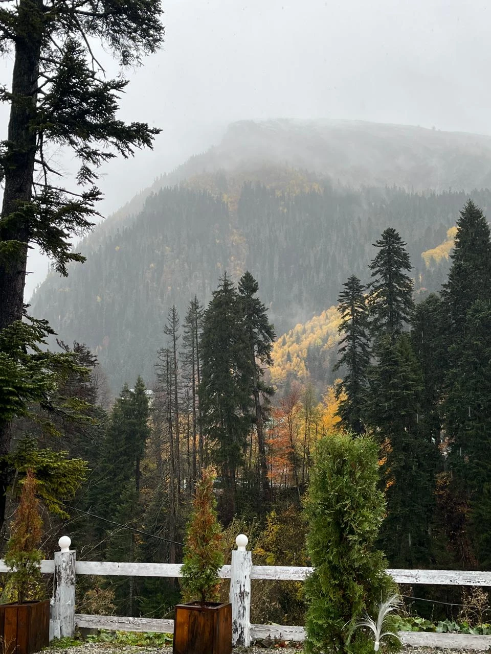 Путешествие 10 из 10! Несмотря на дождливую погоду, Домбай был прекрасен, и навсегда останется в моём сердце!