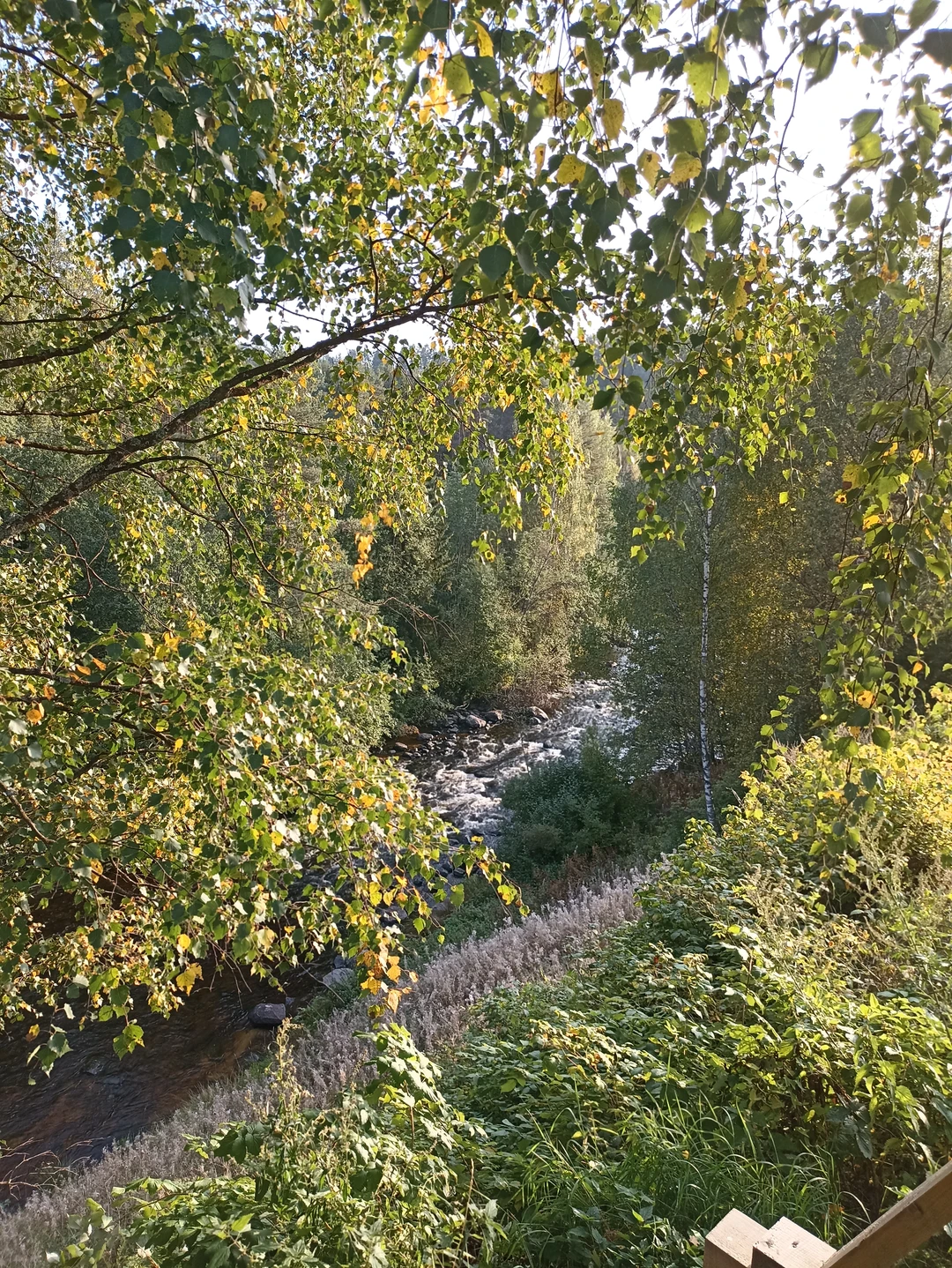 Знакомство с Медвежьегорском (Екатерина)