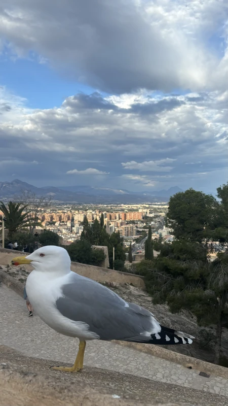 Аликанте - город света