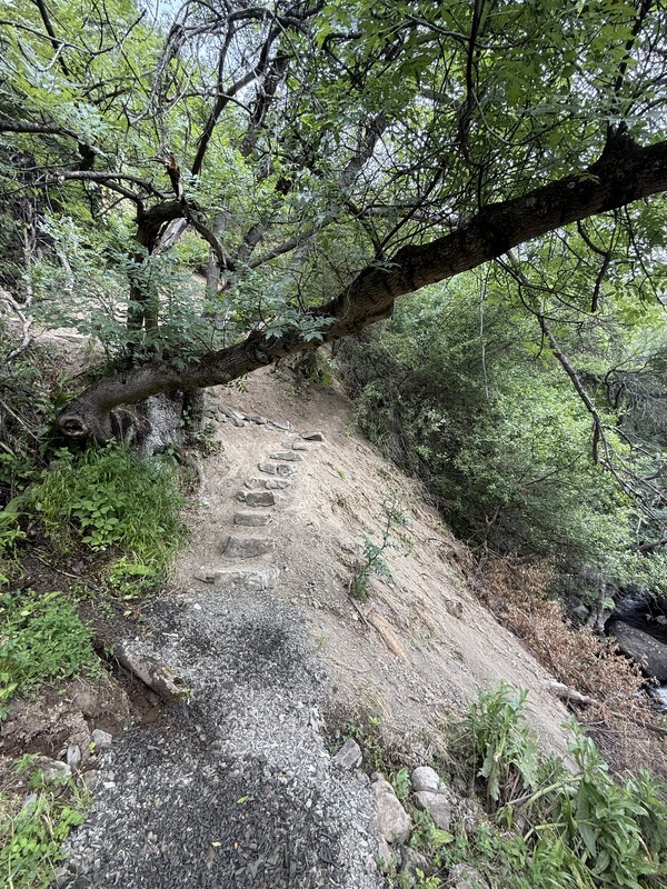В Хосровский заповедник - из Еревана