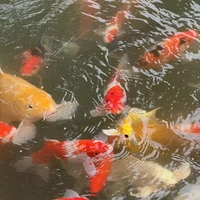 Фото отзыва 2: экскурсия ""