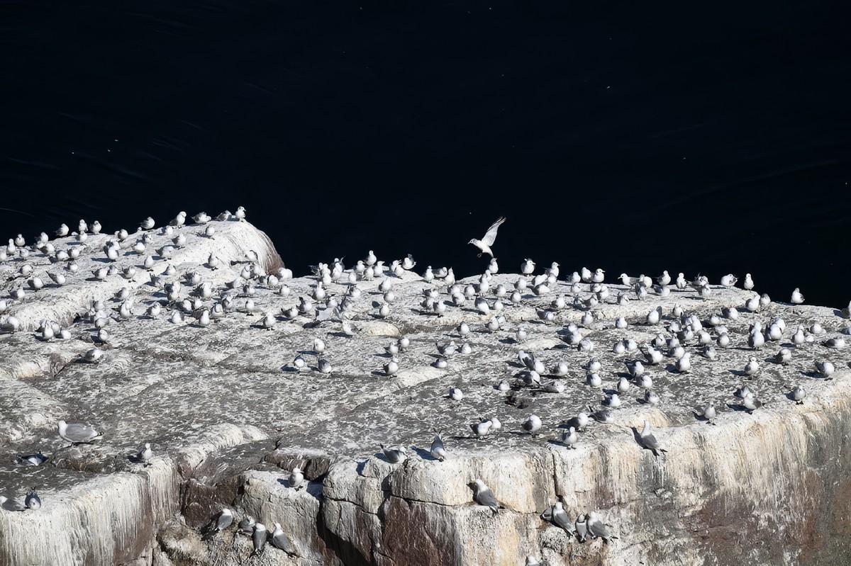 Териберка — погружение в дикую природу и северную культуру