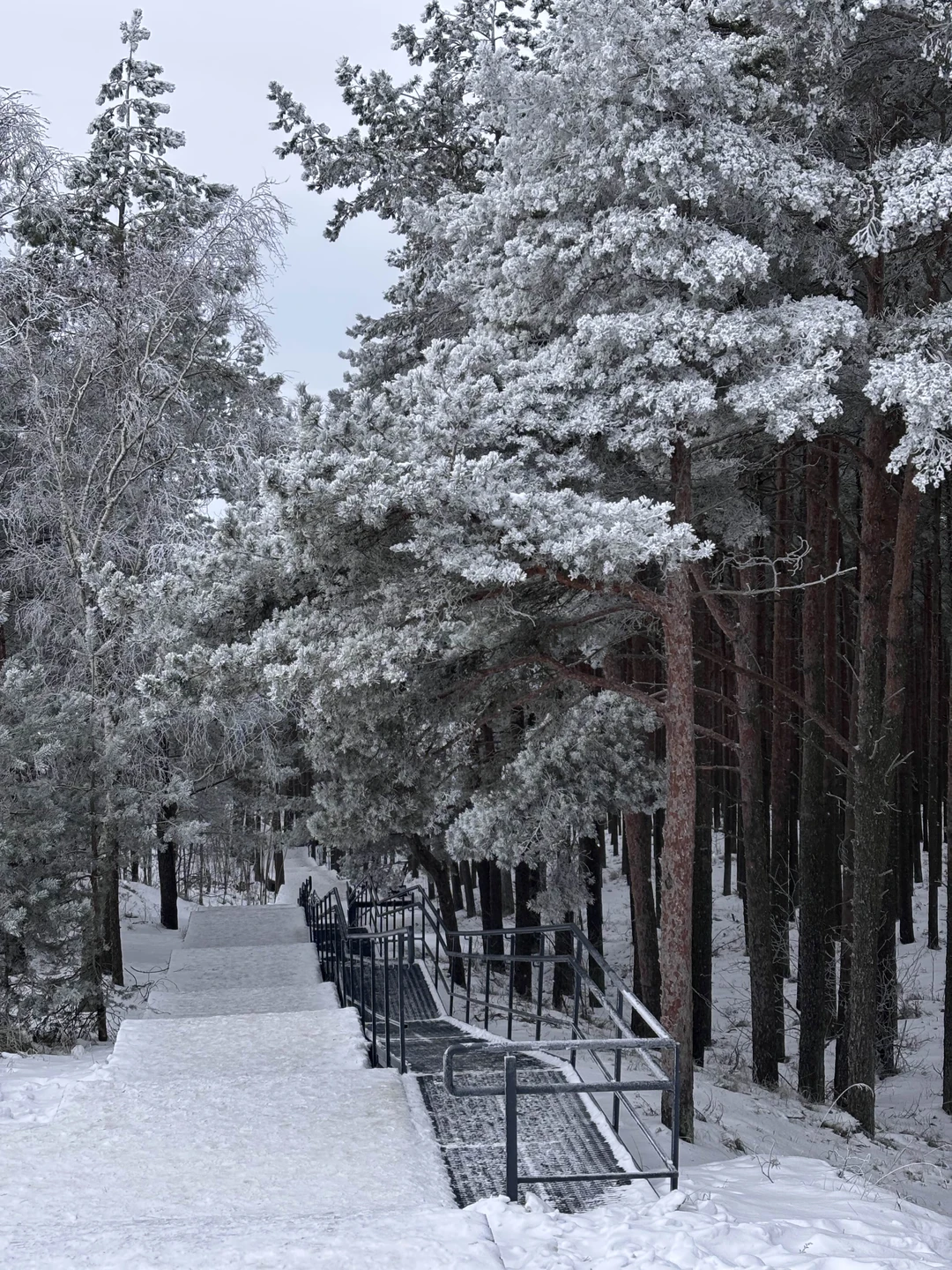 Очень красивая экскурсия 😻 Много интересного! И вкусного))