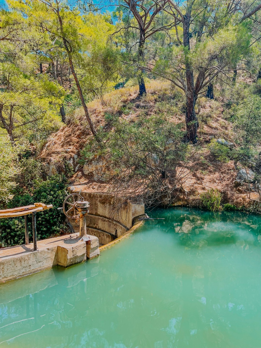 Светлана очень легкая в общении и с ней было интересно! Может поддержать разговор на все темы