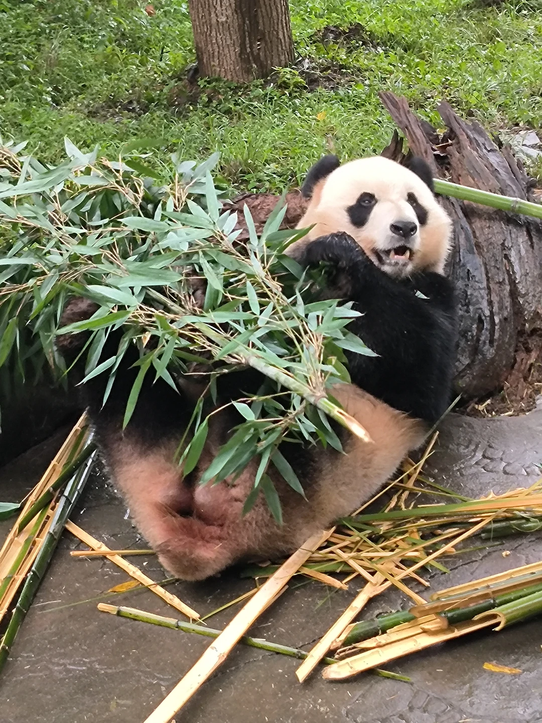 Тур полностью оправдал ожидания: замечательные природные локации, адекватный график переездов, хорошие условия проживания. Маршрут не трудный: