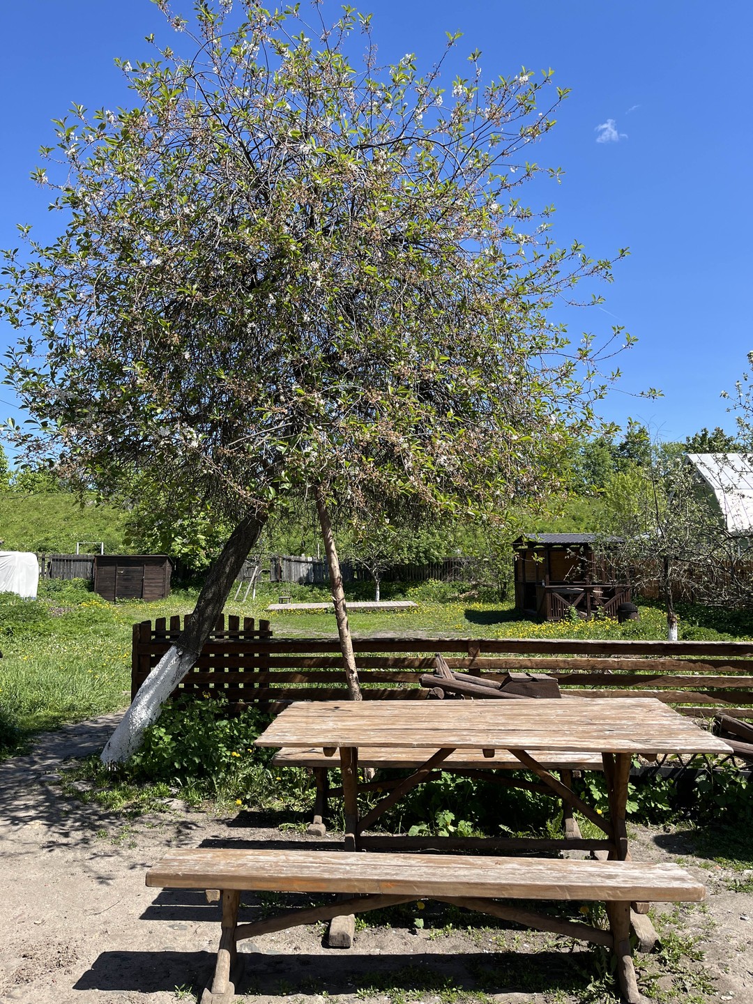 Обзорная экскурсия по Суздалю «Гулять так гулять» (ольга)