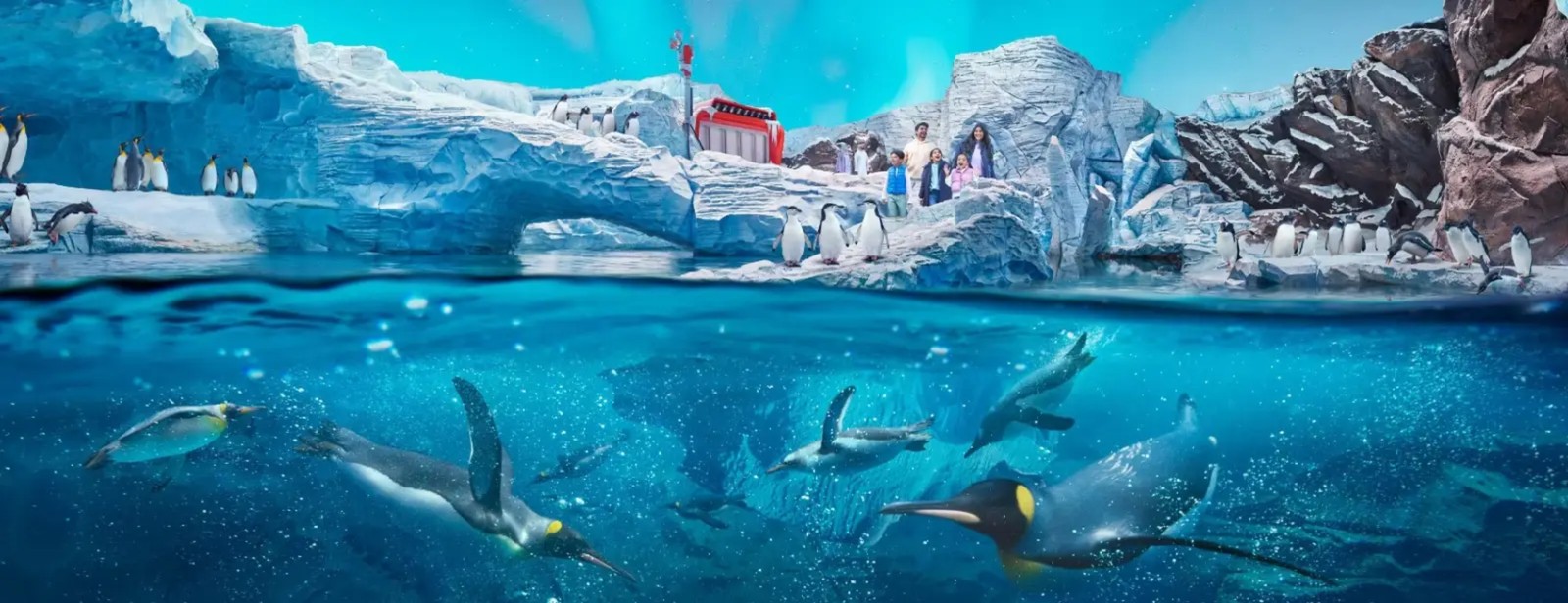 Главное изображение экскурсии - Билет 2 в 1: SeaWorld + Лувр Абу-Даби