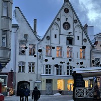 Фото отзыва 3: экскурсия "С улыбкой по Старому Таллину!"