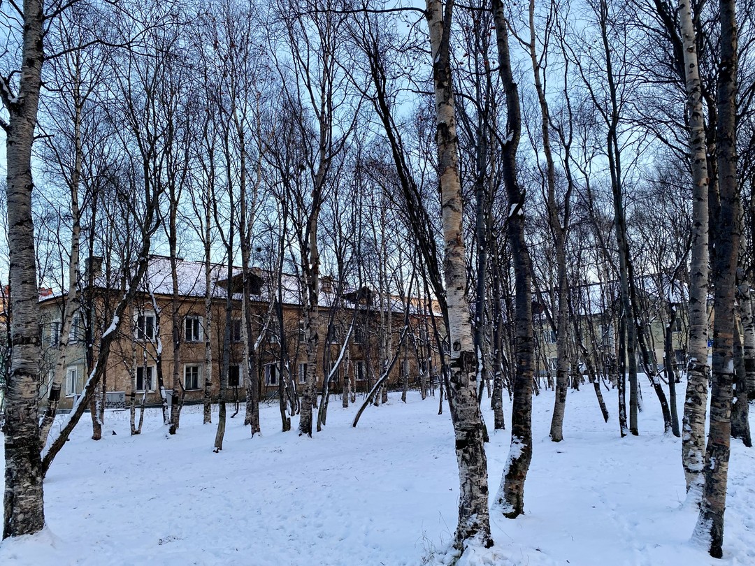 Муральная одиссея Мурманска (Оксана)