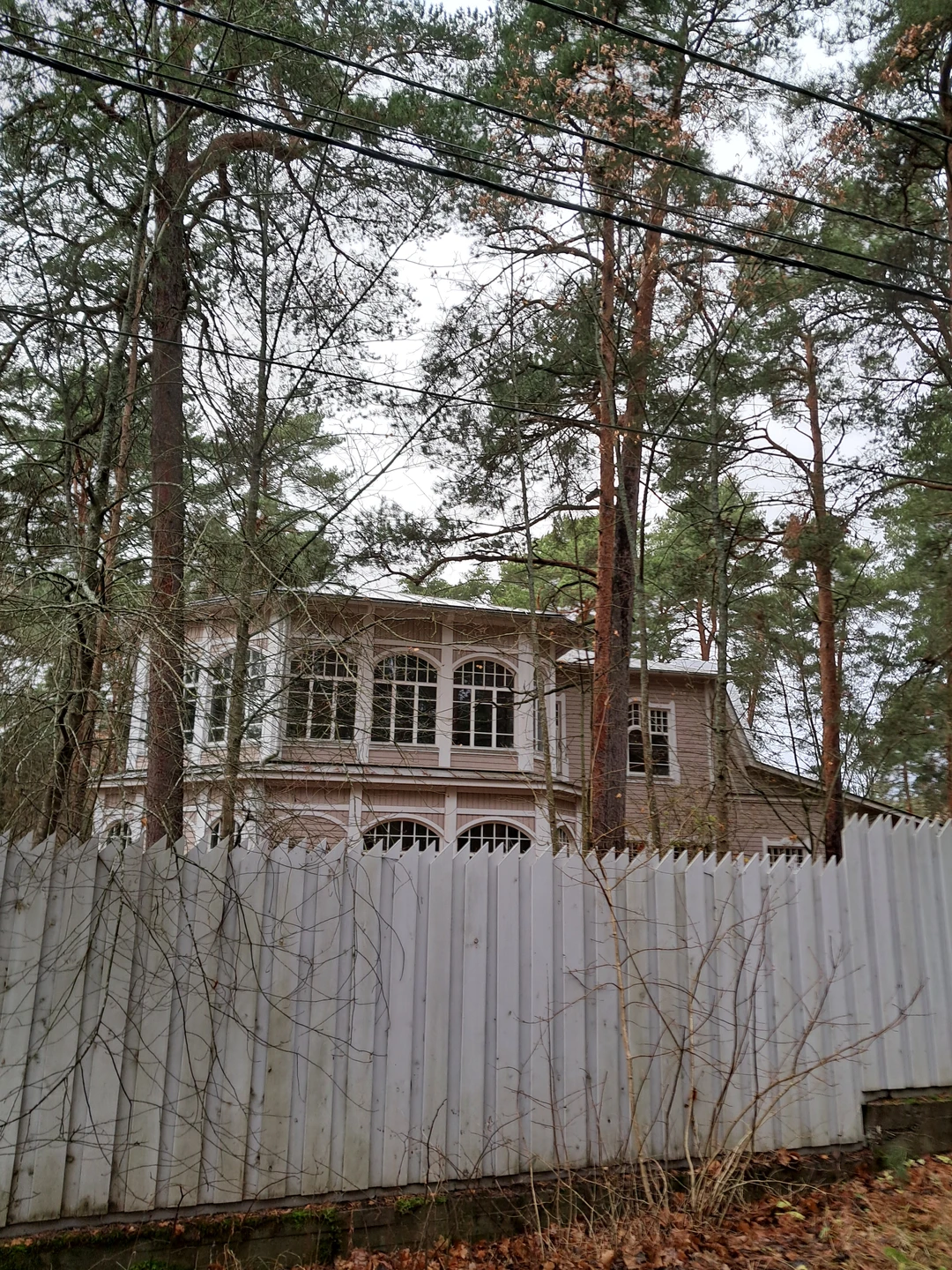 Уютный дачный Сестрорецк (Виолетта)