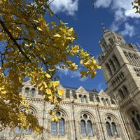 Фото отзыва 3: экскурсия "Увлекательная прогулка для детей по Музею естествознания"