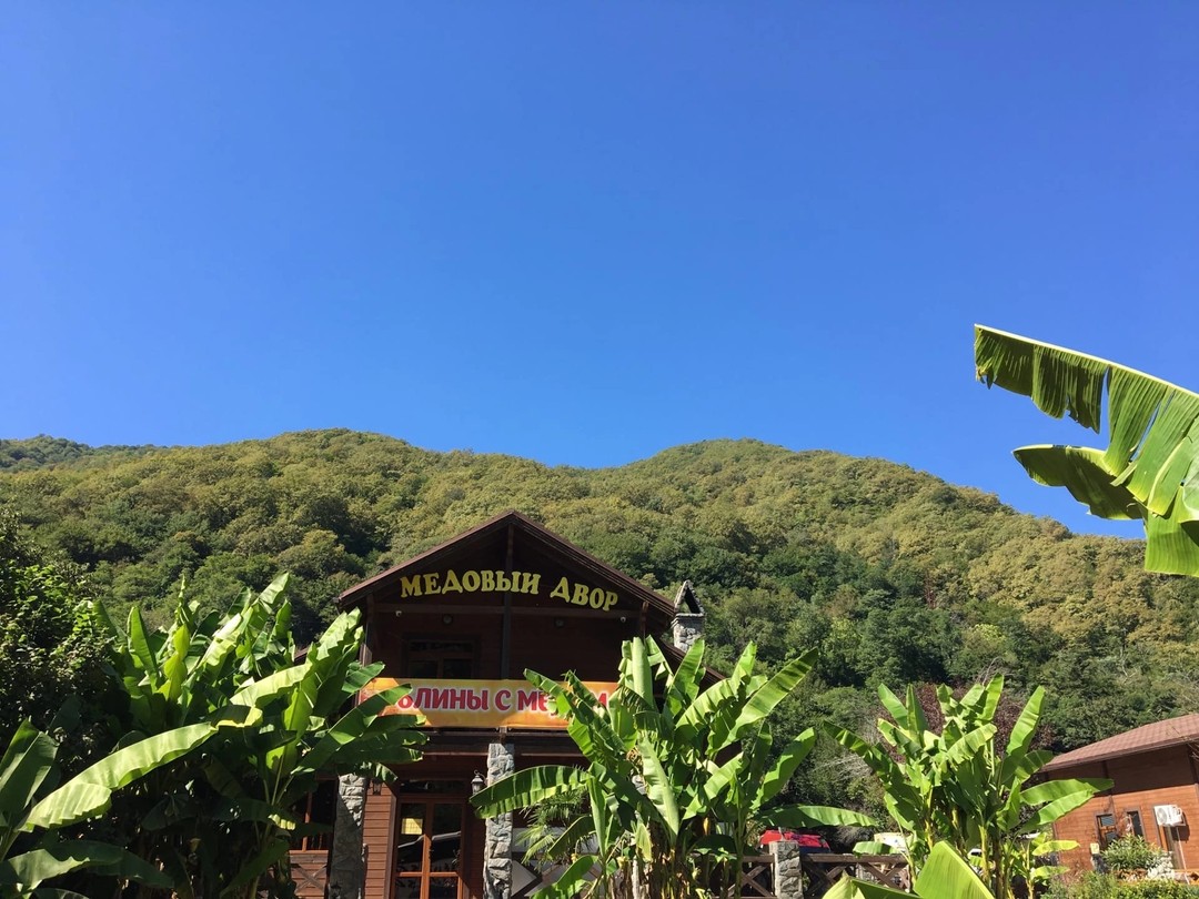 Гранд-путешествие по Абхазии: 4 города и озеро Рица (Ирина)