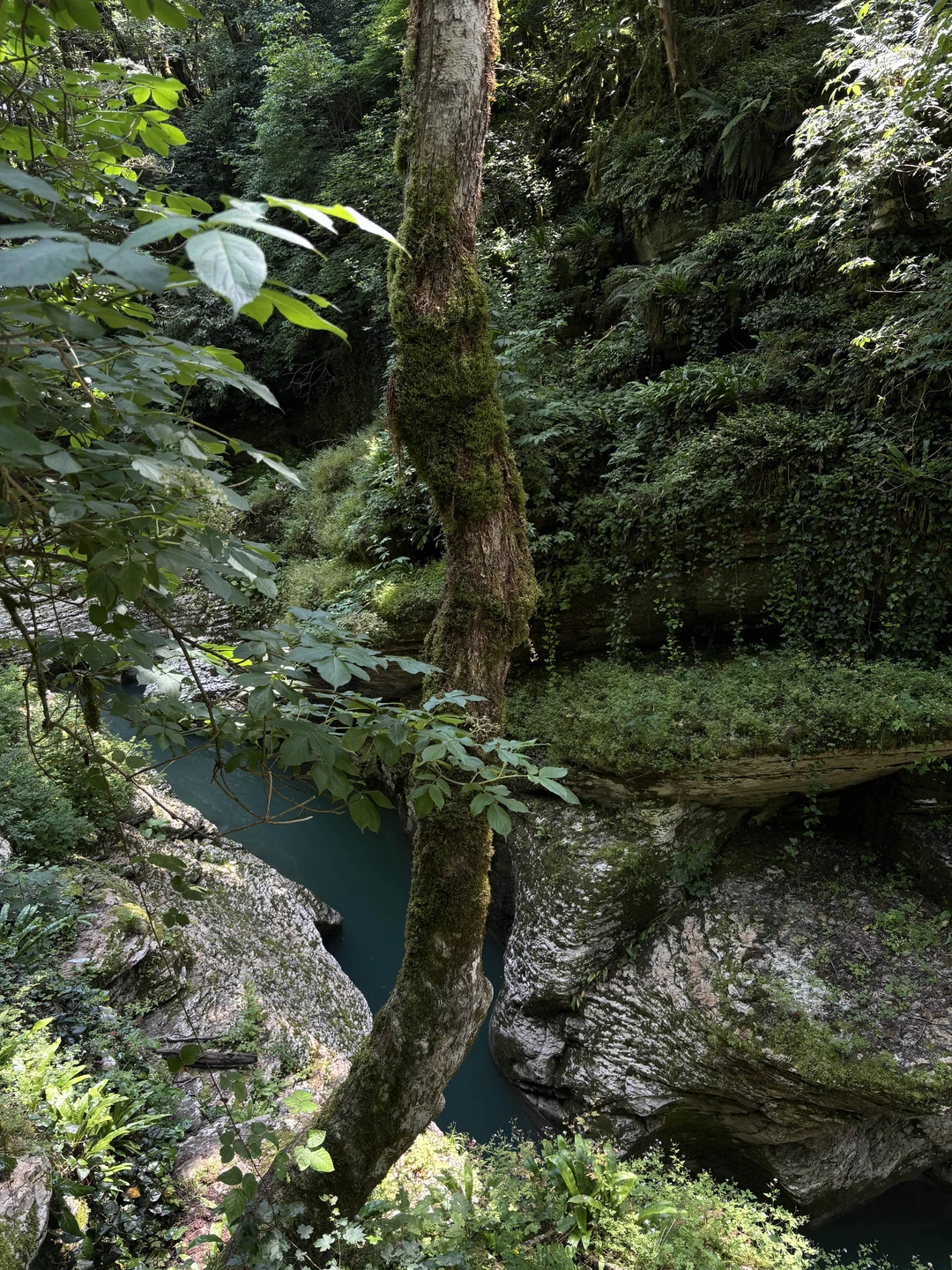 Ходили трекинг с племянницей 11 лет, с гидом Семеном, это восторг! Для тех, кому недостаточно вида