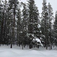 Фото отзыва 7: экскурсия ""