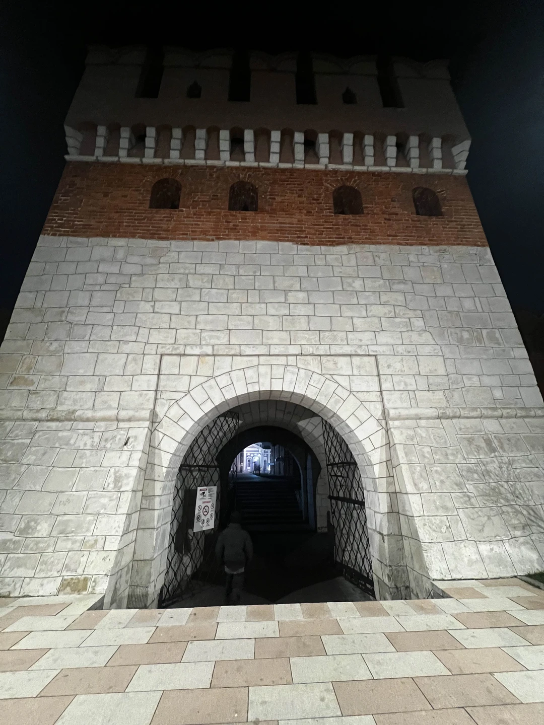 Экскурсия прошла быстро и увлекательно! Много интересной информации о городе и инфраструктуре! Спасибо Евгении, что в