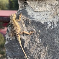 Фото отзыва 1: экскурсия "Кахетия — романтическая, вкусная, живописная"