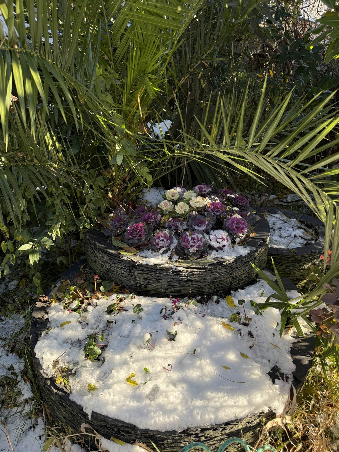 Квест-экскурсия по центру Сочи (Наталья)