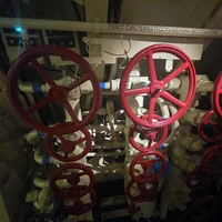 Фото отзыва 2: экскурсия "Кронштадт: Музей военно-морской славы и Остров фортов (мини-группа)"