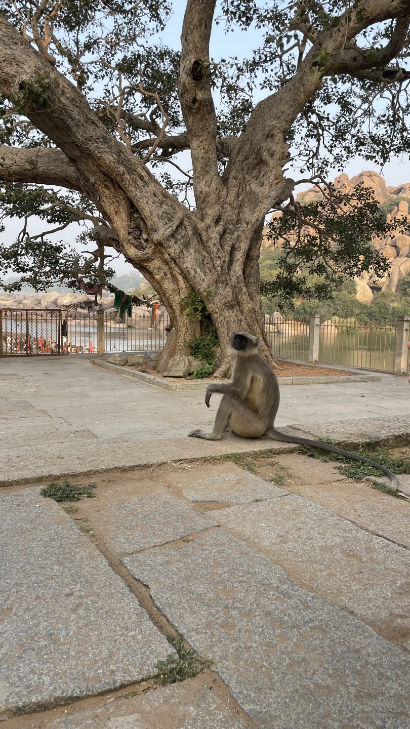 Все понравилось)Водитель который у нас был на белой тойоте очень учтивый и доброжелательный ему прям отдельный
