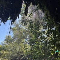 Фото отзыва 4: экскурсия ""