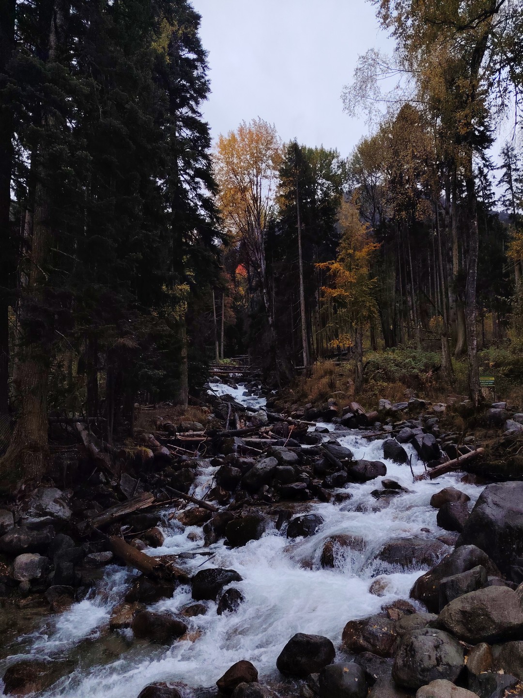 Насыщенное путешествие на Домбай в мини-группе из Пятигорска (Ольга)