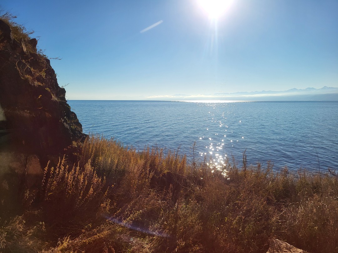 Было очень весело и познавательно)