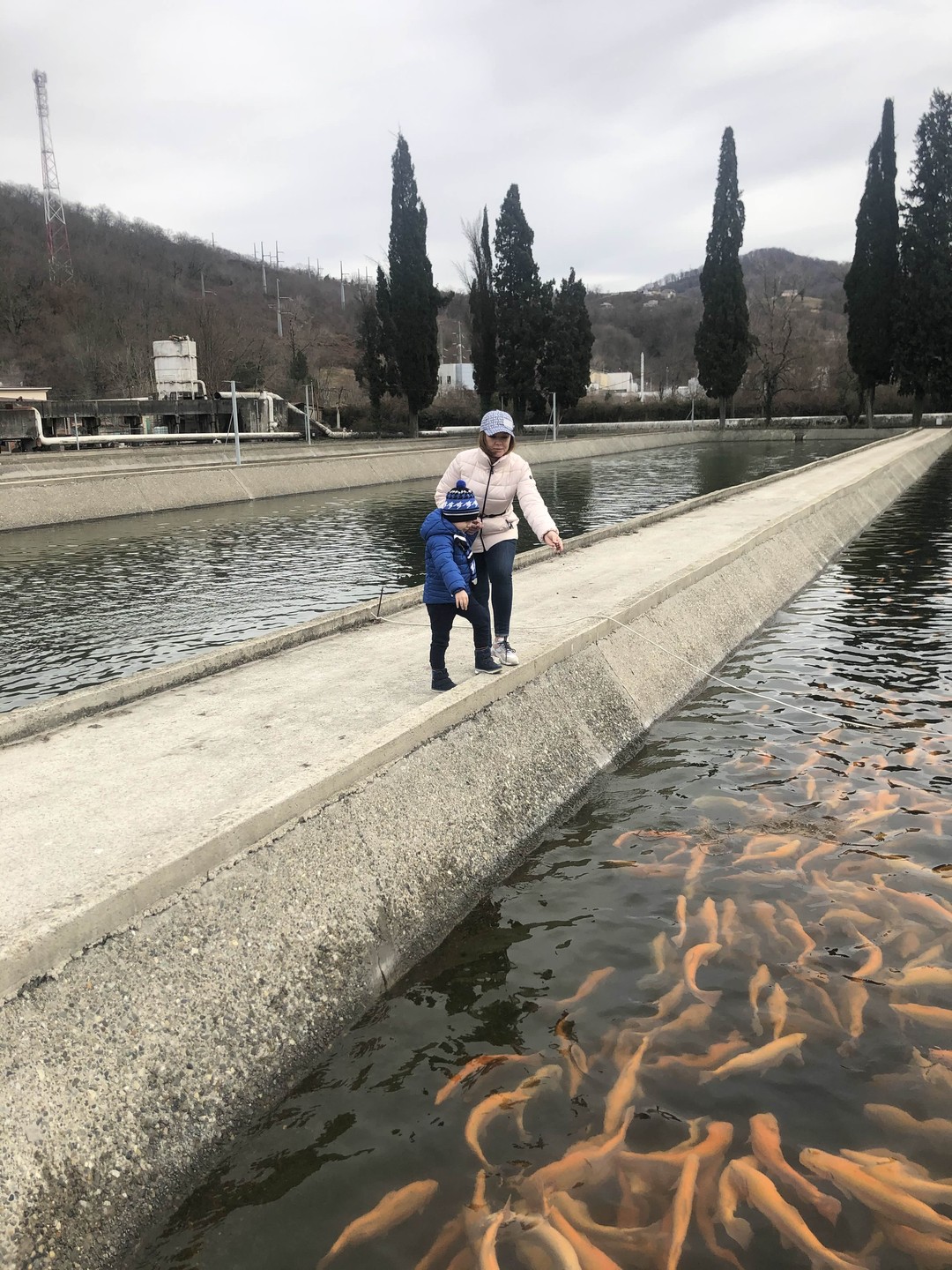 Очень позитивная Татьяна, встретила в центре Сочи, предоставила автокресло, ребенку было почти 4 года, оптимизировала экскурсию