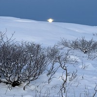 Фото отзыва 3: экскурсия "Териберка — врата в Арктику"